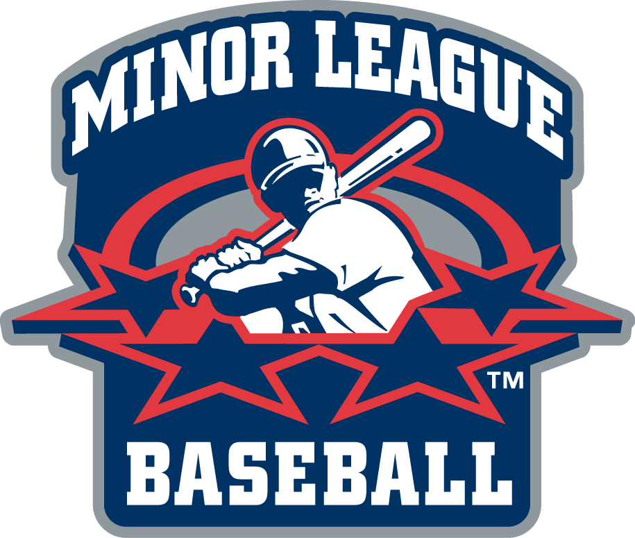 Minor League Baseball 1999-2007 Primary Logo vinyl decal